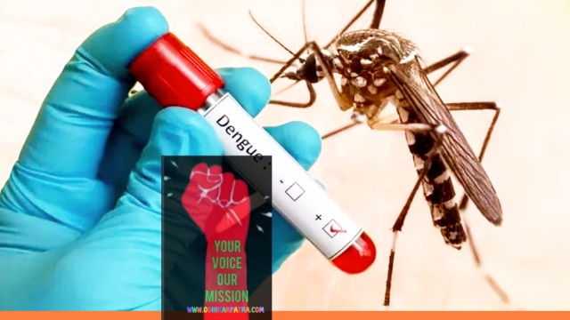 ডেঙ্গুর থাবা আবারও ভয়ানক! ২৪ ঘণ্টায় ৯৩২ আক্রান্ত, মৃত্যু ৪”
