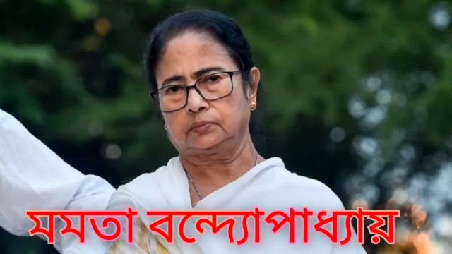 নির্বাচনে হেরেও যেভাবে ‘অন্তর্বর্তীকালীন মুখ্যমন্ত্রী’ হতে পারেন মমতাড