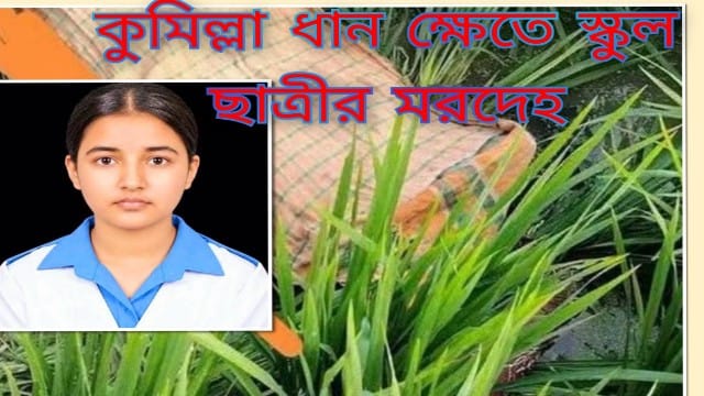 বাবা, আমাকে নিয়ে যাও’—মৃত্যুর আগে লাইভ লোকেশন পাঠানো তাজমিনের হত্যার তদন্তে নতুন সূত্র