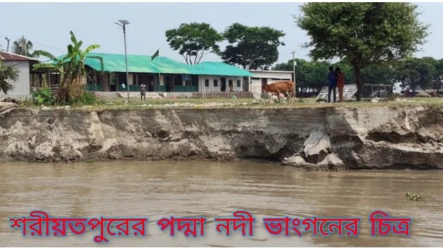 পদ্মার ভাঙনে বিলীনের শঙ্কায় জাজিরার সরকারি প্রাথমিক বিদ্যালয়, কমেছে শিক্ষার্থী উপস্থিতি